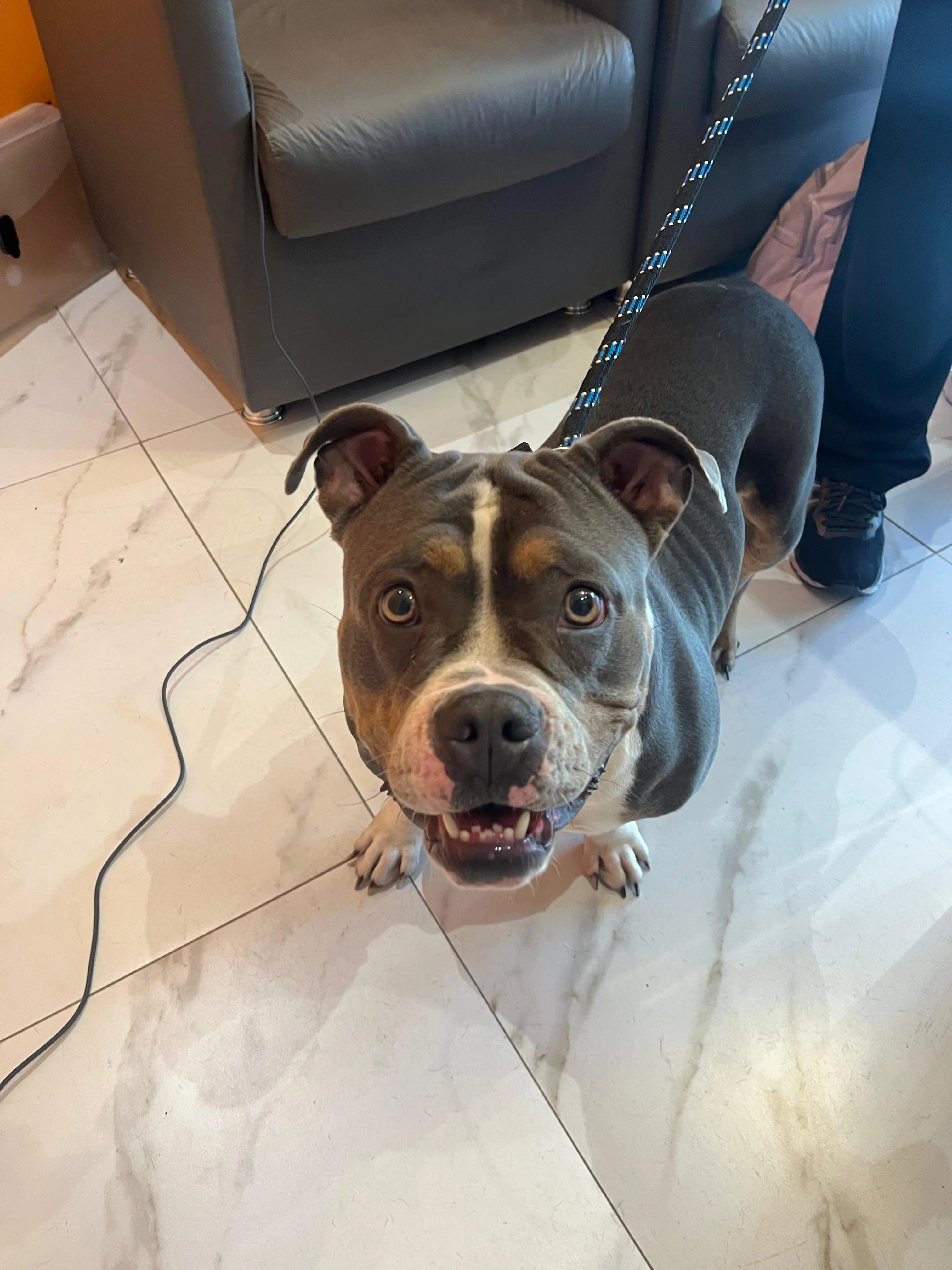 Recuperação cirúrgica bem-sucedida