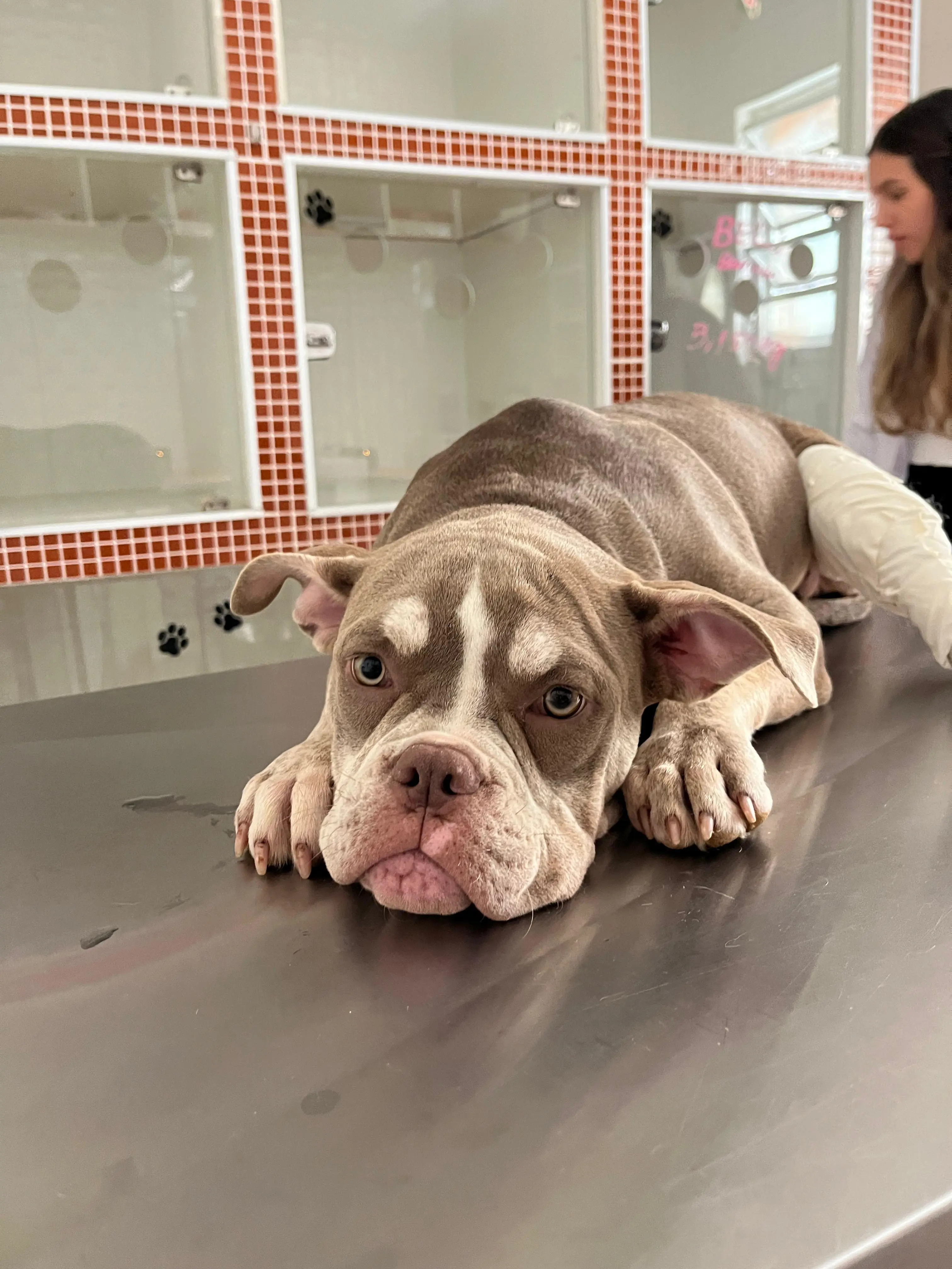 Tratamento cirúrgico bem-sucedido