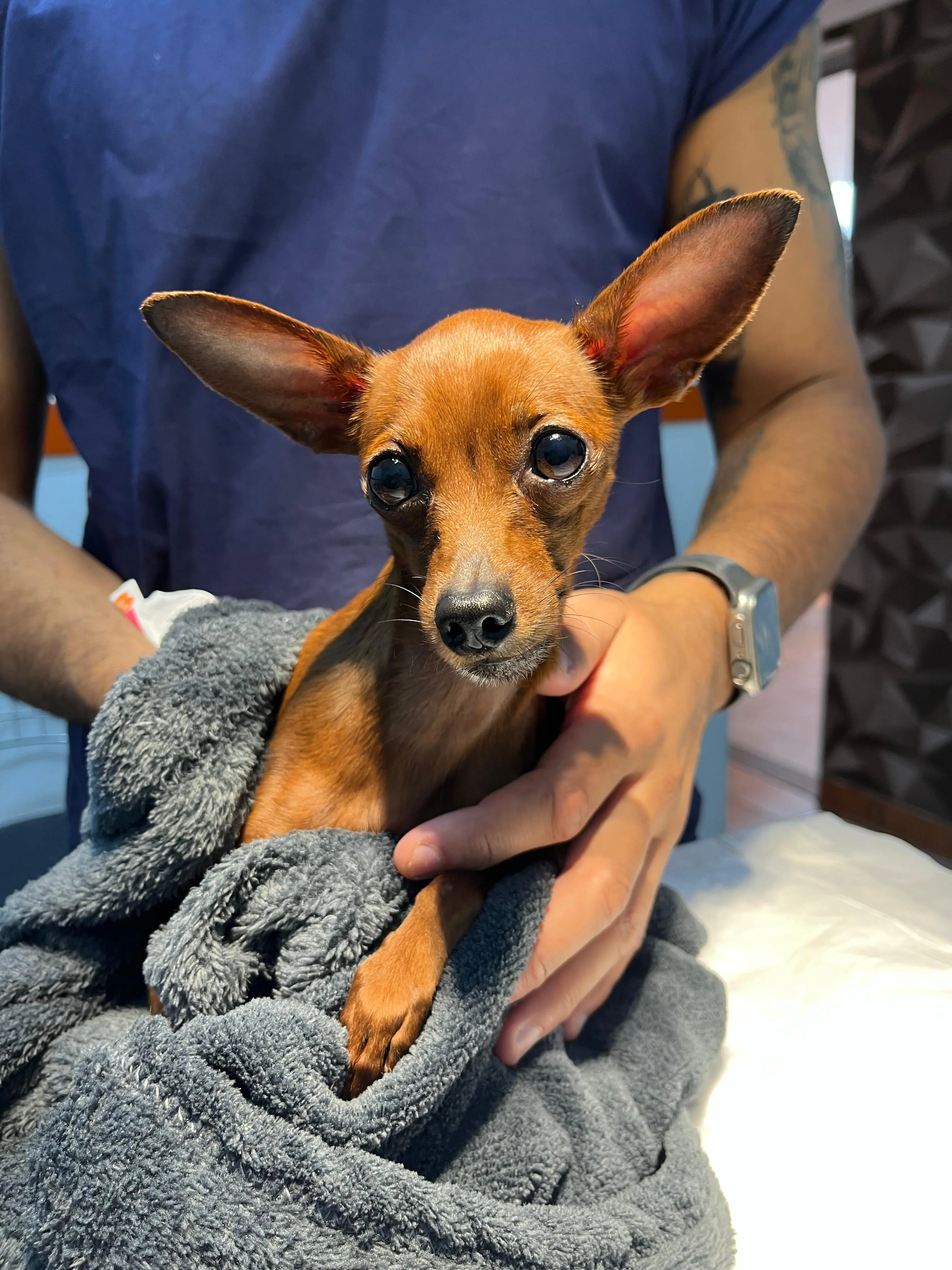 Recuperação ortopédica bem-sucedida