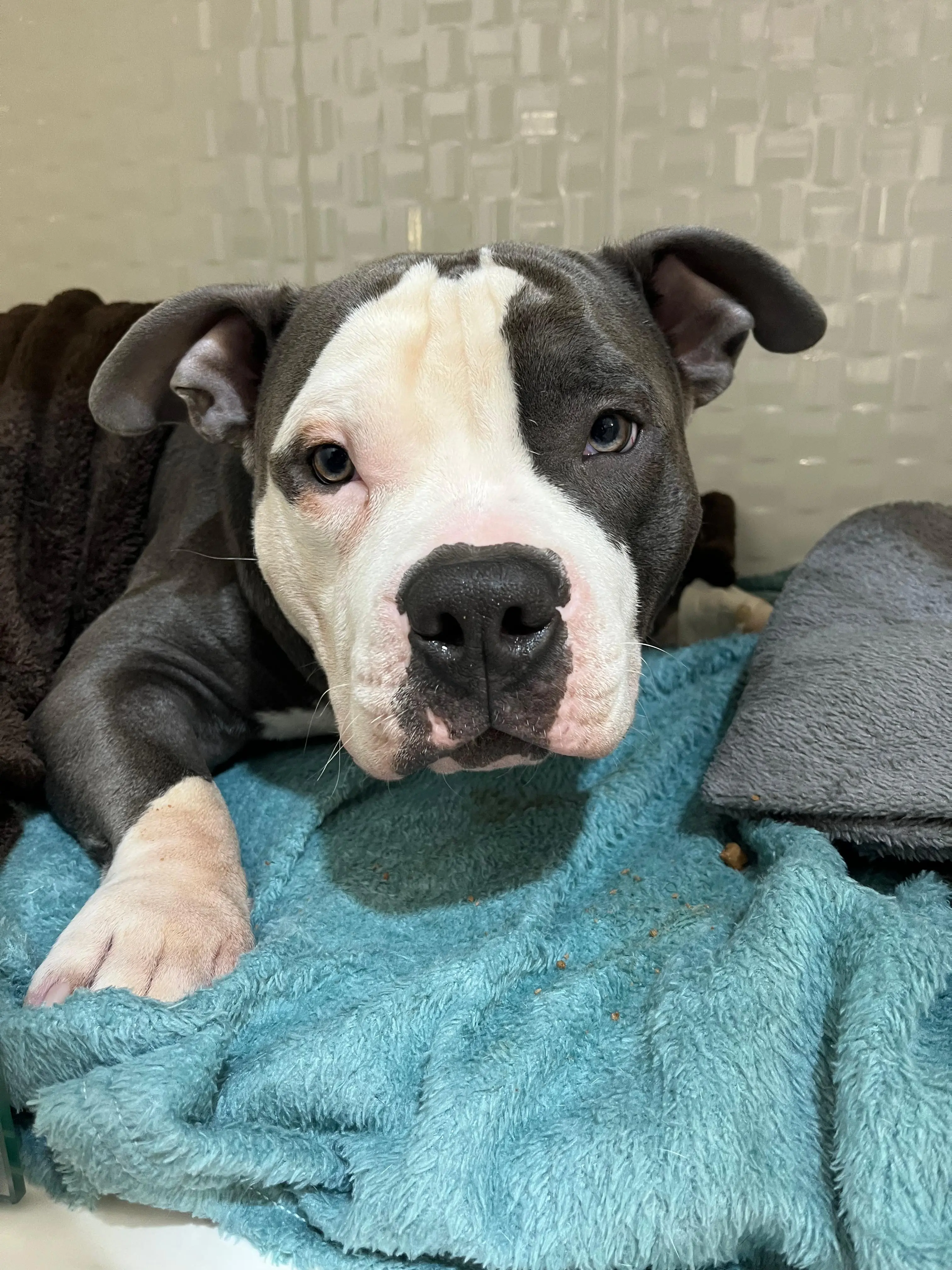 Reabilitação ortopédica completa