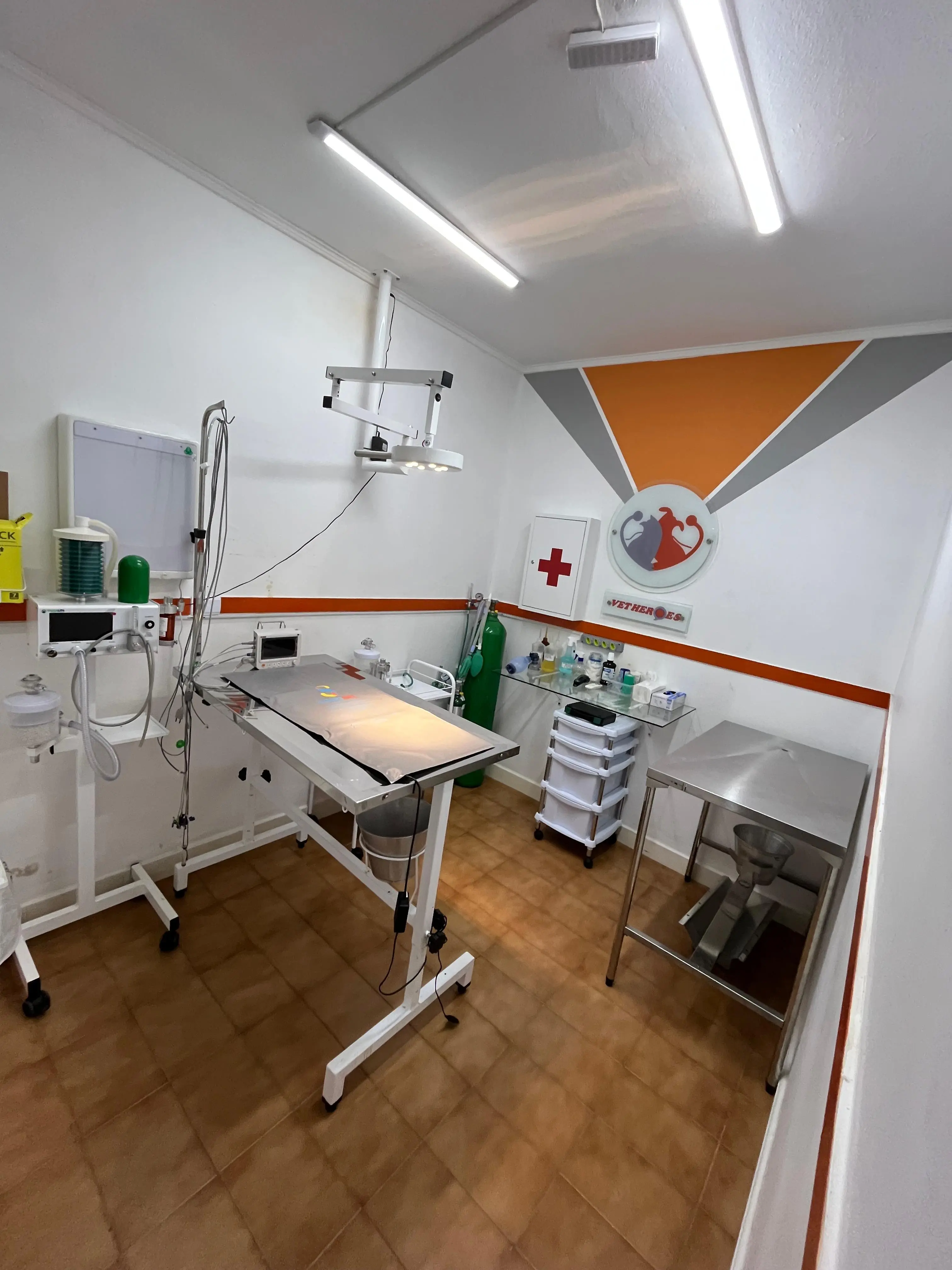 Centro cirúrgico veterinário