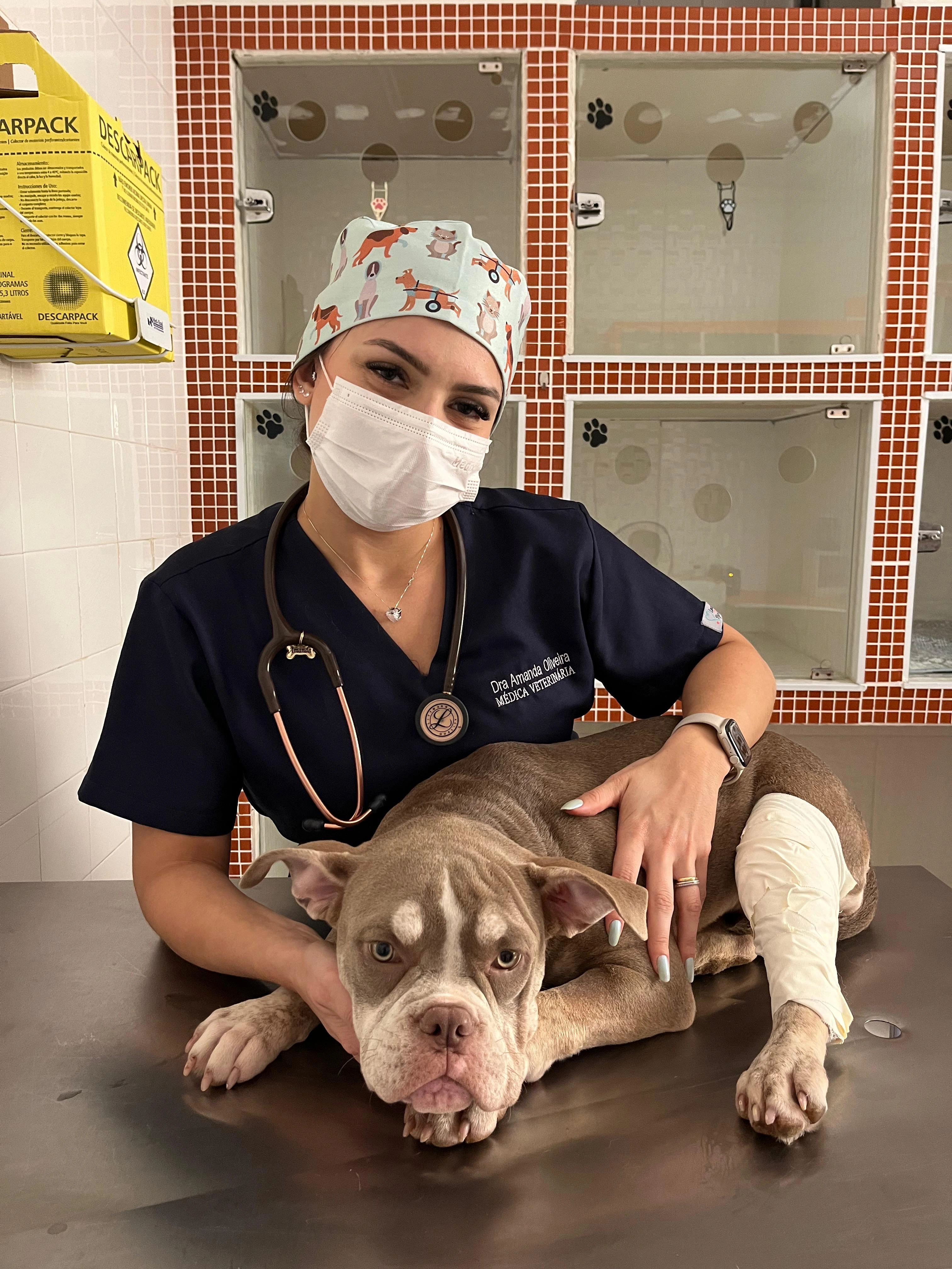 Veterinária examinando pet em consulta